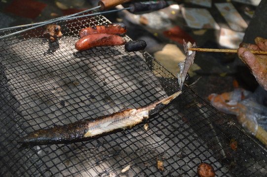 野外烤魚