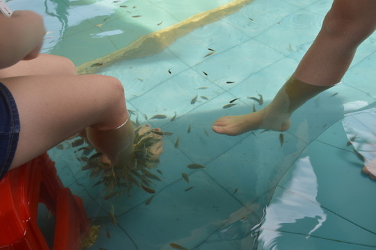 足療魚