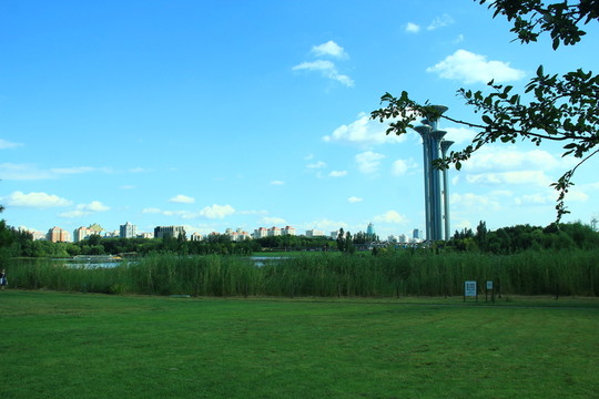 草地