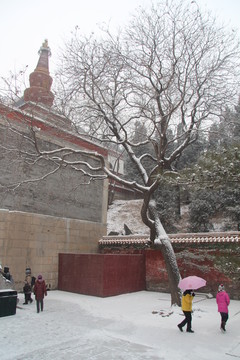 頤和園雪景