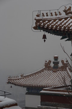 頤和園雪景