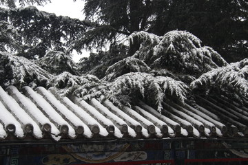 頤和園雪景