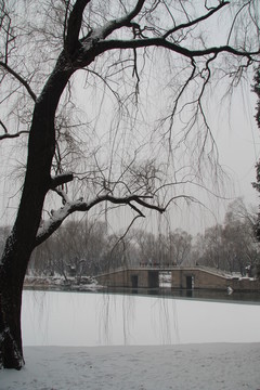 頤和園雪景