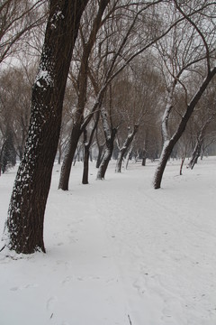 頤和園雪景
