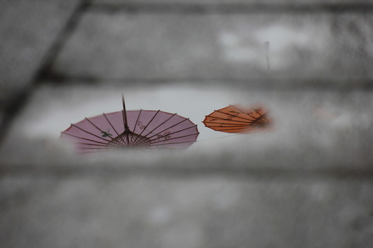 彩色的傘