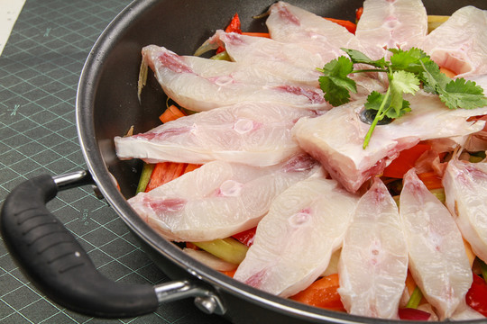 馬面魚(yú)
