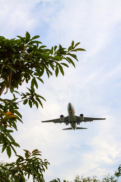 飛機