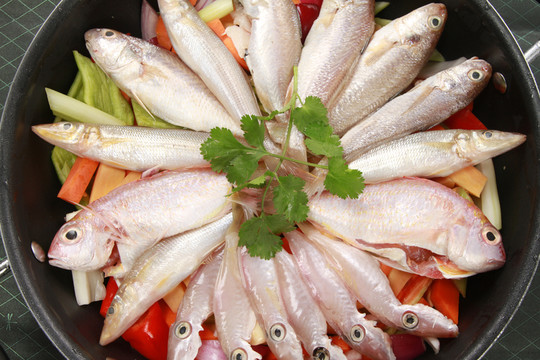 海鮮雜魚煲