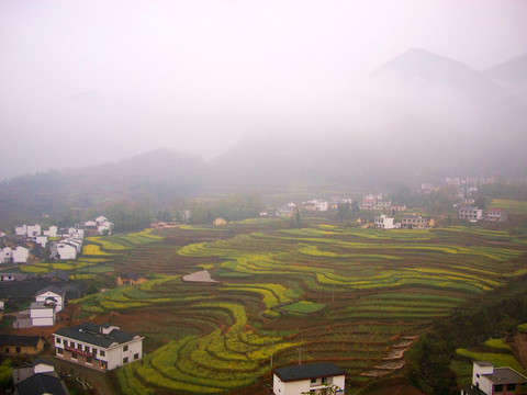 堰坪梯田