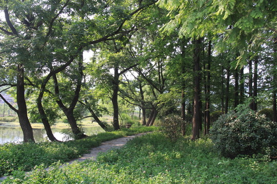 黃麓師范