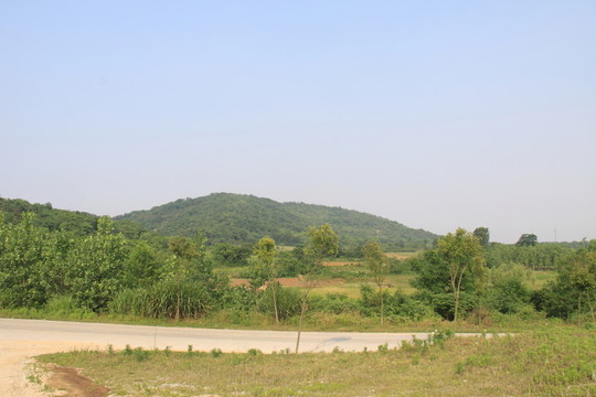 洪家疃風(fēng)光