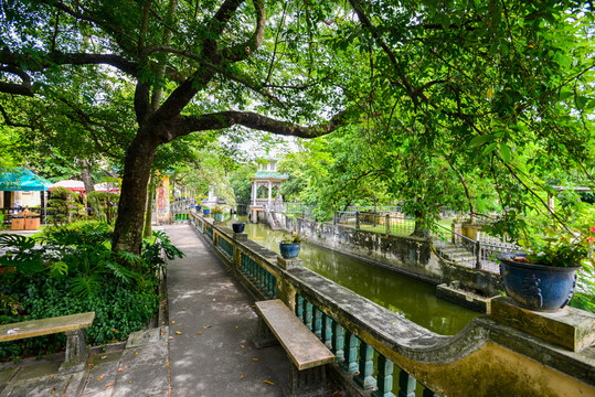 庭院小河