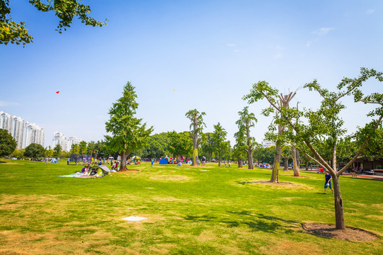 城市公園綠地