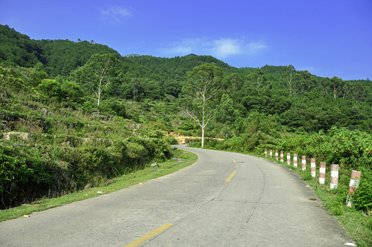 山區(qū)公路轉(zhuǎn)彎處
