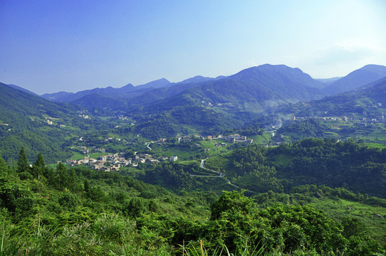 山區(qū)青山