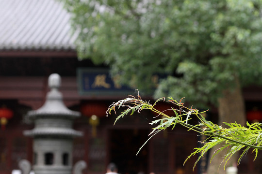 靈隱禪寺