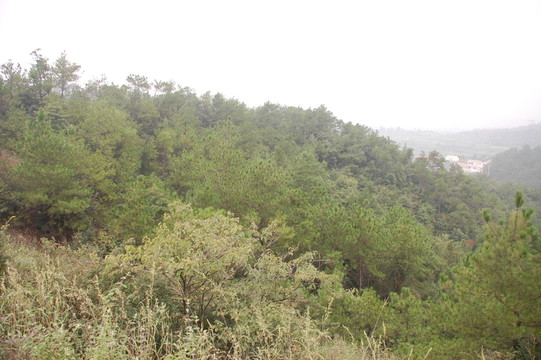 農(nóng)家