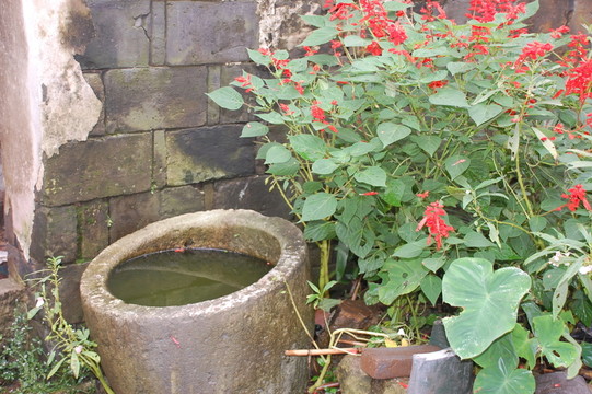 農(nóng)家