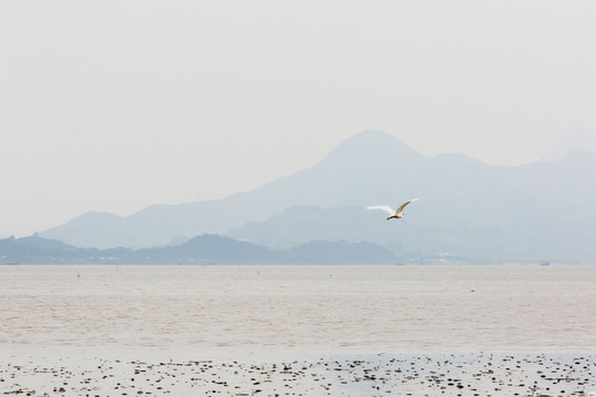 海邊風(fēng)光
