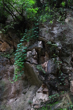 山崖