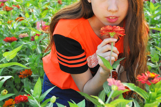 聞花香