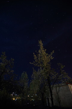鄉(xiāng)村的夜空