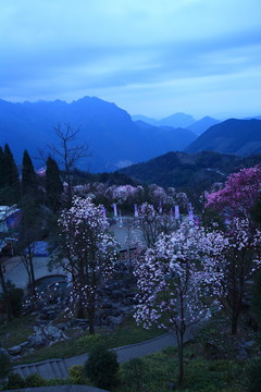 春天的山野