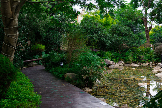 寧德三盛公園
