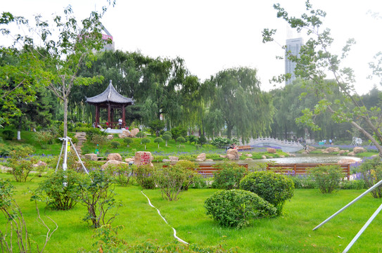 長春牡丹公園