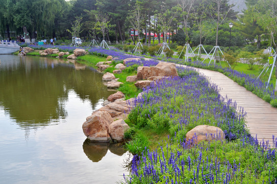 長春牡丹公園