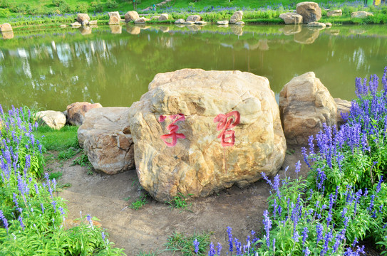 長春牡丹公園