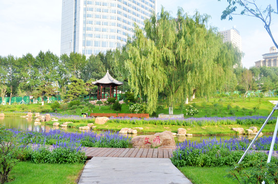 長春牡丹公園