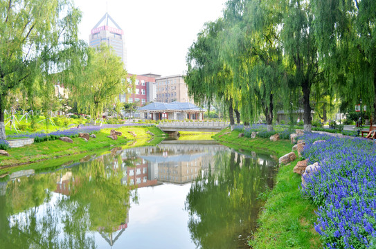 長春牡丹公園