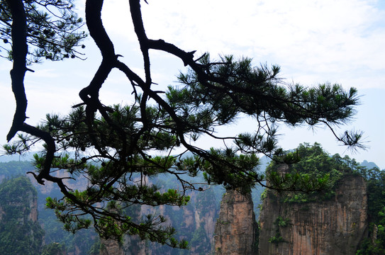 張家界風(fēng)景名勝區(qū)