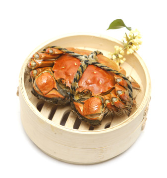 陽澄湖大閘蟹