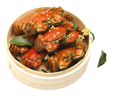 陽澄湖大閘蟹