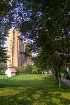 綠樹后的住宅樓