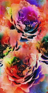 花卉