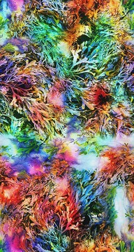 掛畫花卉