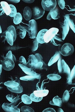 數(shù)碼印花