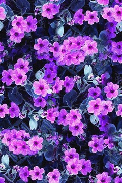 數(shù)碼印花