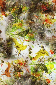 數(shù)碼印花
