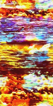 數(shù)碼花卉花紋