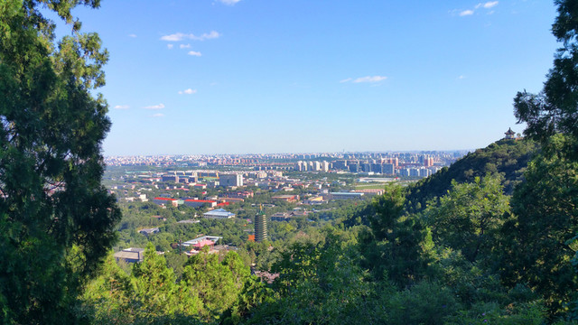 城市全景