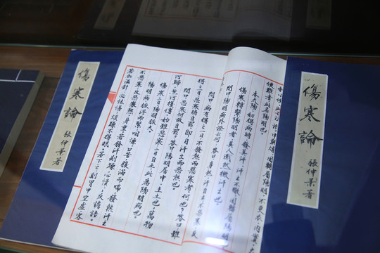醫(yī)書(shū)