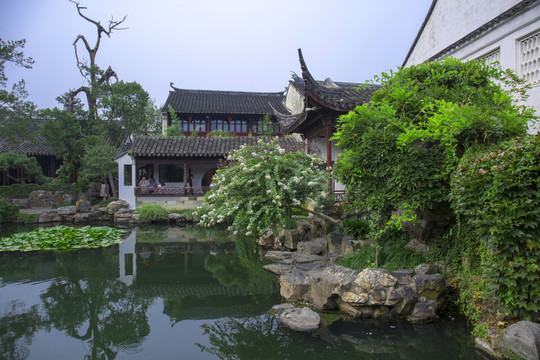 蘇州網(wǎng)獅園