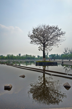 唐山地震遺址公園