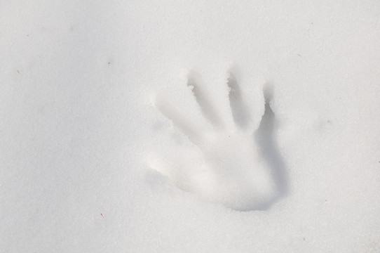 雪地上的手印