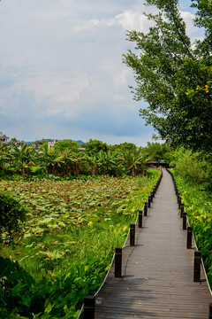 木棧道