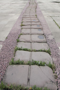 道